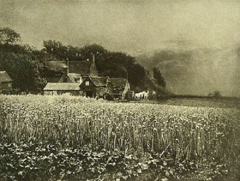 George_Davison-The_Onion_FieldGeorge Davison – The Onion Field (1890)