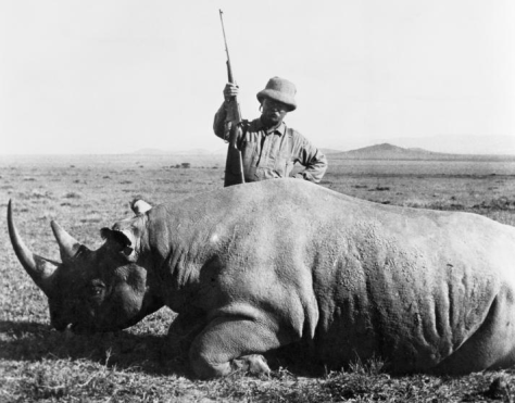 After serving as US President, Theodore Roosevelt went on a safari and trapped or shot over 11 000 animals.